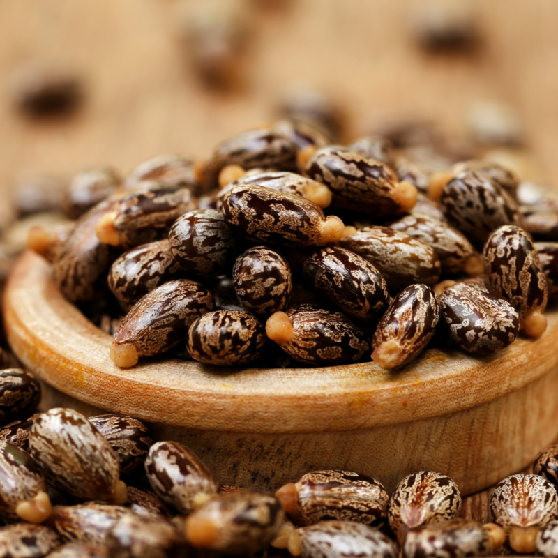 The Miracle of Castor Oil