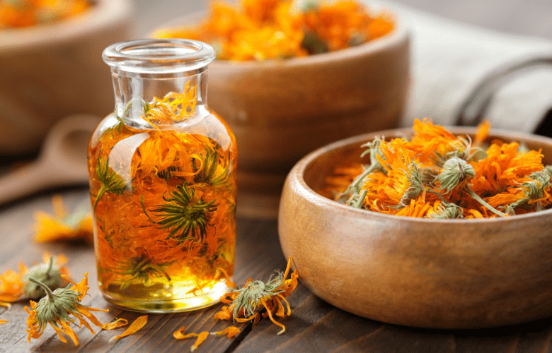calendula tea Chinese herbal medicine late summer season
